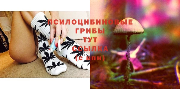 каннабис Белокуриха
